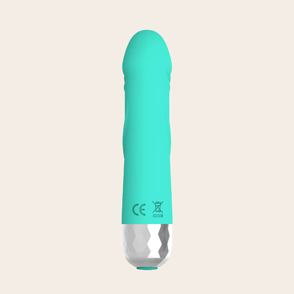 4.5" Bullet Vibrator