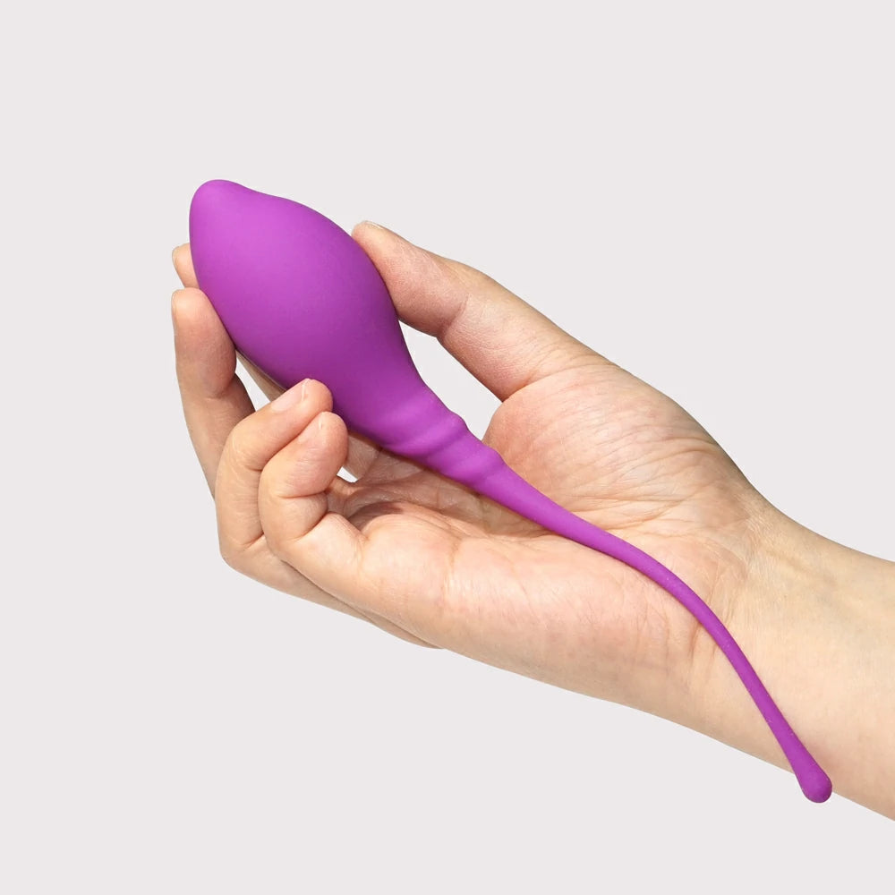 Kegel Balls Training Set