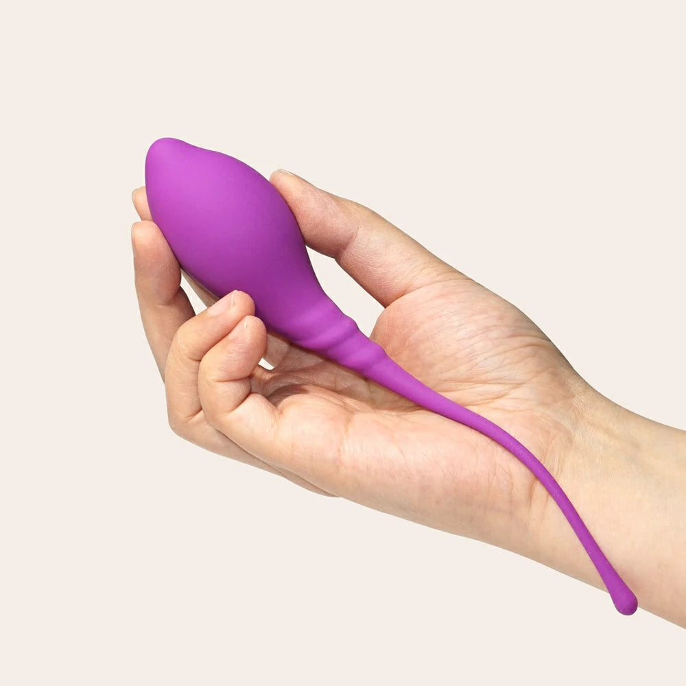 Kegel Balls Training Set