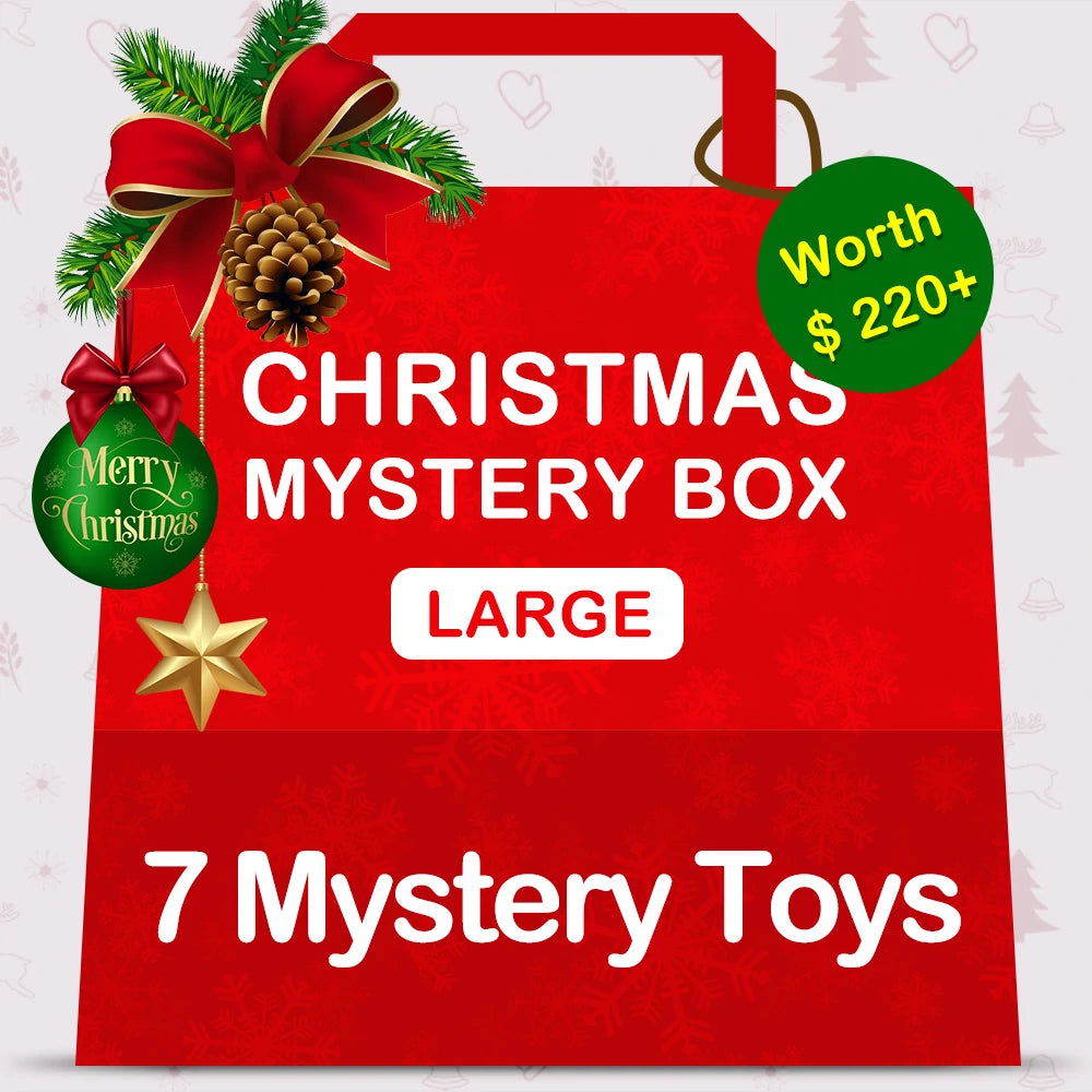 Christmas Mystery Box | Large