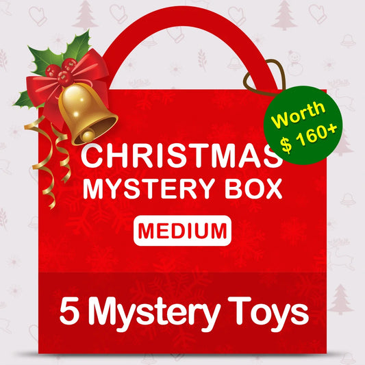 Christmas Mystery Box | Medium