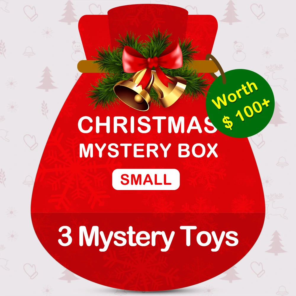 Christmas Mystery Box | Small